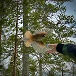 Дом отдыха Aurora Ruka, Sauna, Lakeside - Lapland Рука