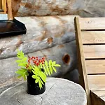 Aurora Ruka, Sauna, Lakeside - Lapland * Рука