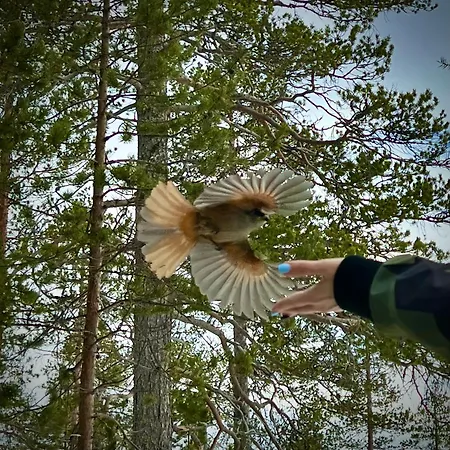 펜션 Aurora Ruka, Sauna, Lakeside - Lapland 루카