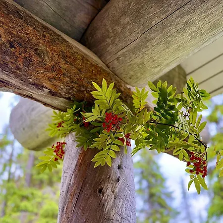 Ferienhaus Aurora Ruka, Sauna, Lakeside - Lapland *