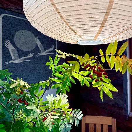 Aurora Ruka, Sauna, Lakeside - Lapland * Ruka