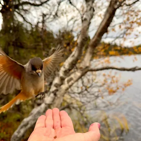 Aurora Ruka, Sauna, Lakeside - Lapland 펜션