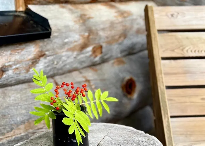 Aurora Ruka, Sauna, Lakeside - Lapland * Rukatunturi