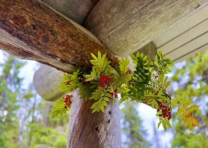 Casa vacanze Aurora Ruka, Sauna, Lakeside - Lapland *