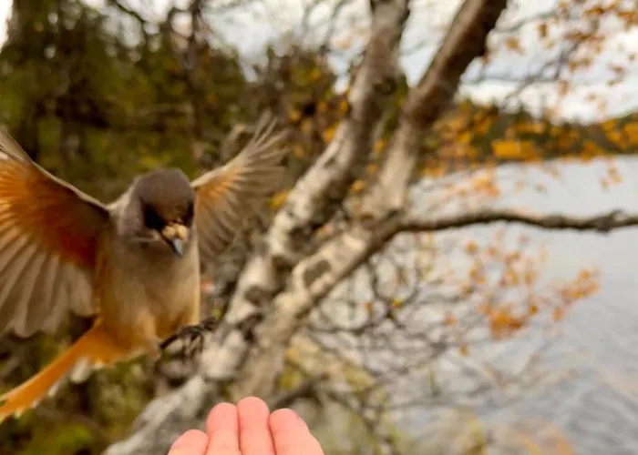 Aurora Ruka, Sauna, Lakeside - Lapland Сasa de vacaciones